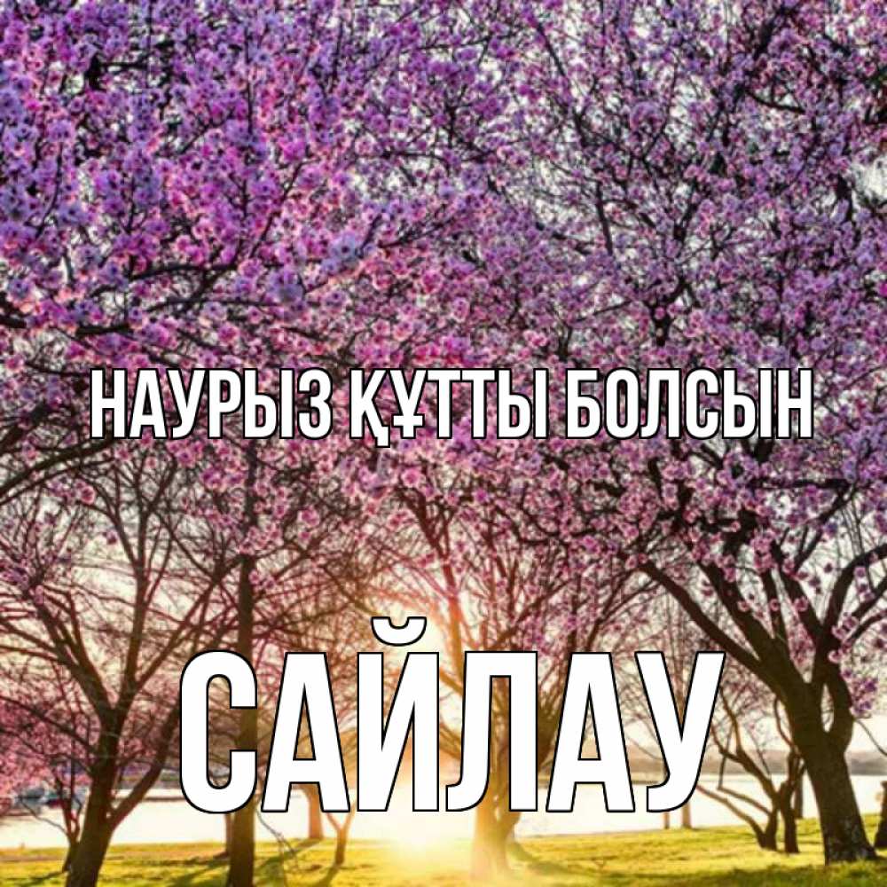 Күн сайын ашық хат с именем, САЙЛАУ Наурыз құтты болсын наурыз Онлайн тегін жүктеп алу тілектері бар керемет карта 