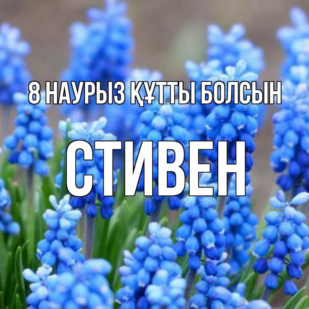 Күн сайын ашық хат с именем, Стивен 8 наурыз құтты болсын Поздравительная открытка для женщин с цветами на праздничную дату Онлайн тегін жүктеп алу тілектері бар керемет карта 