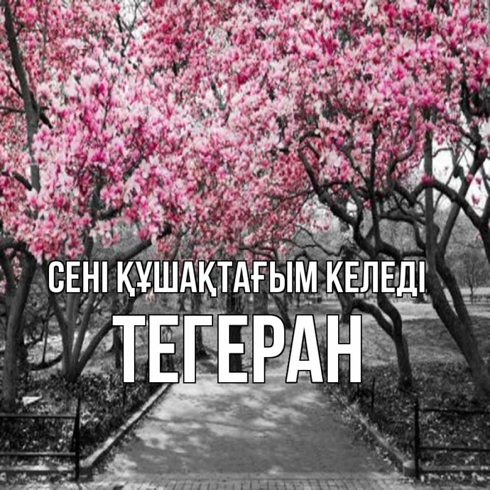 Күн сайын ашық хат с именем, ТЕГЕРАН сені құшақтағым келеді обработанное фото Онлайн тегін жүктеп алу тілектері бар керемет карта 