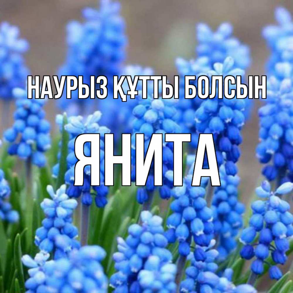 Күн сайын ашық хат с именем, Янита Наурыз құтты болсын Поздравительная открытка для женщин с цветами на праздничную дату Онлайн тегін жүктеп алу тілектері бар керемет карта 