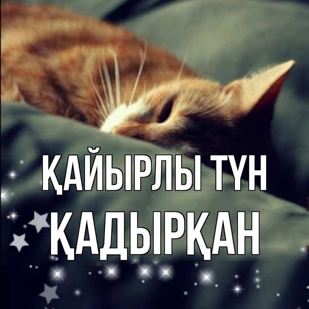 Күн сайын ашық хат с именем, Қадырқан Қайырлы түн кроватка Онлайн тегін жүктеп алу тілектері бар керемет карта 