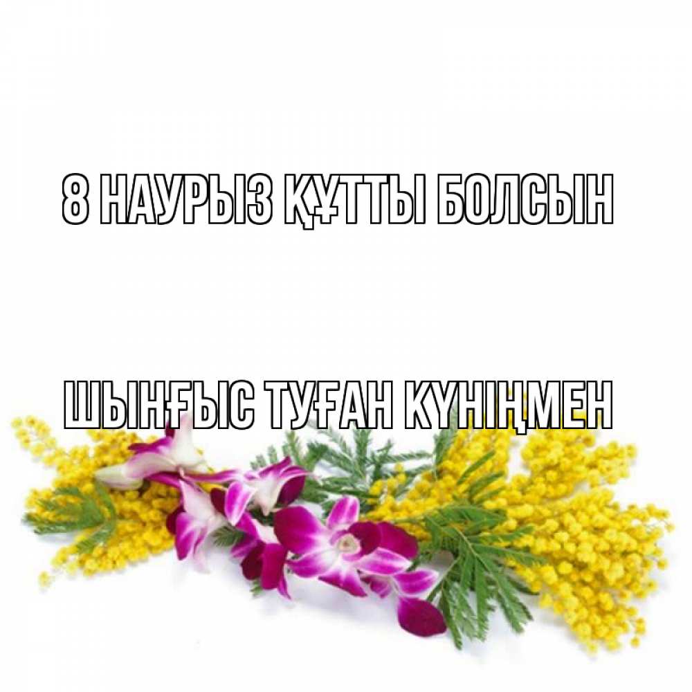 Картинка 8 наурыз құтты болсын, ШЫНҒЫС! ТУҒАН КҮНІҢМЕН!