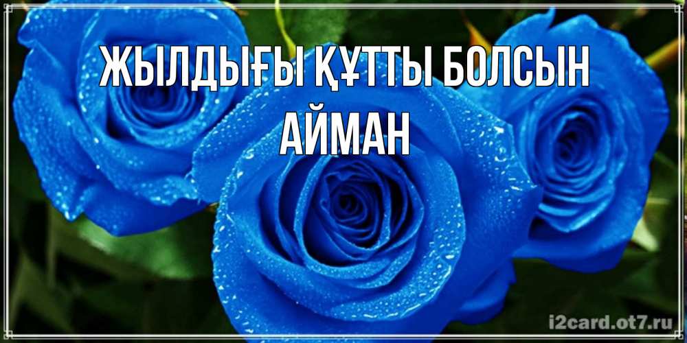 Күн сайын ашық хат с именем, АЙМАН Жылдығы құтты болсын розы с синим цветом Онлайн тегін жүктеп алу тілектері бар керемет карта 
