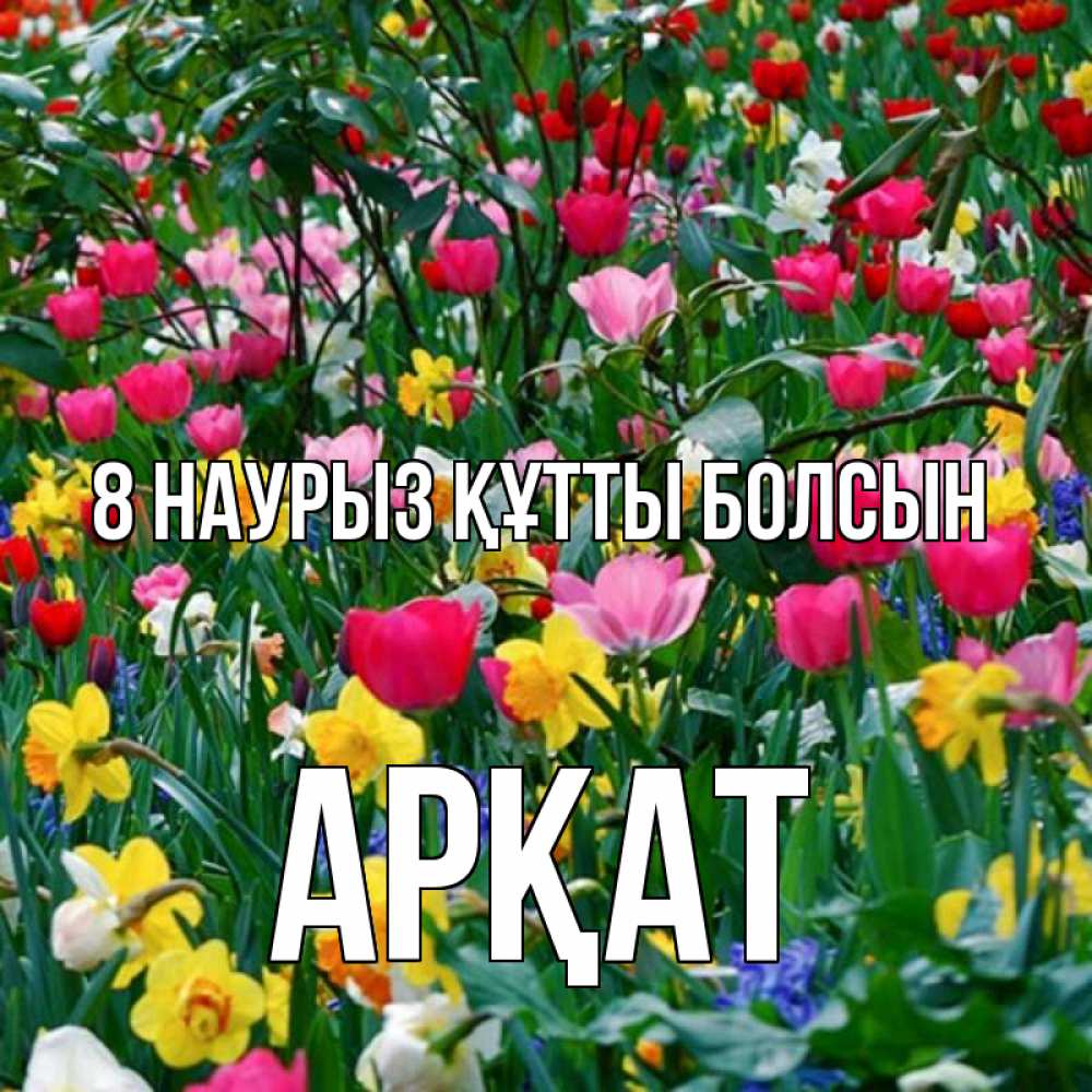 Күн сайын ашық хат с именем, Арқат 8 наурыз құтты болсын с международным женским днем поздравления для женщины Онлайн тегін жүктеп алу тілектері бар керемет карта 