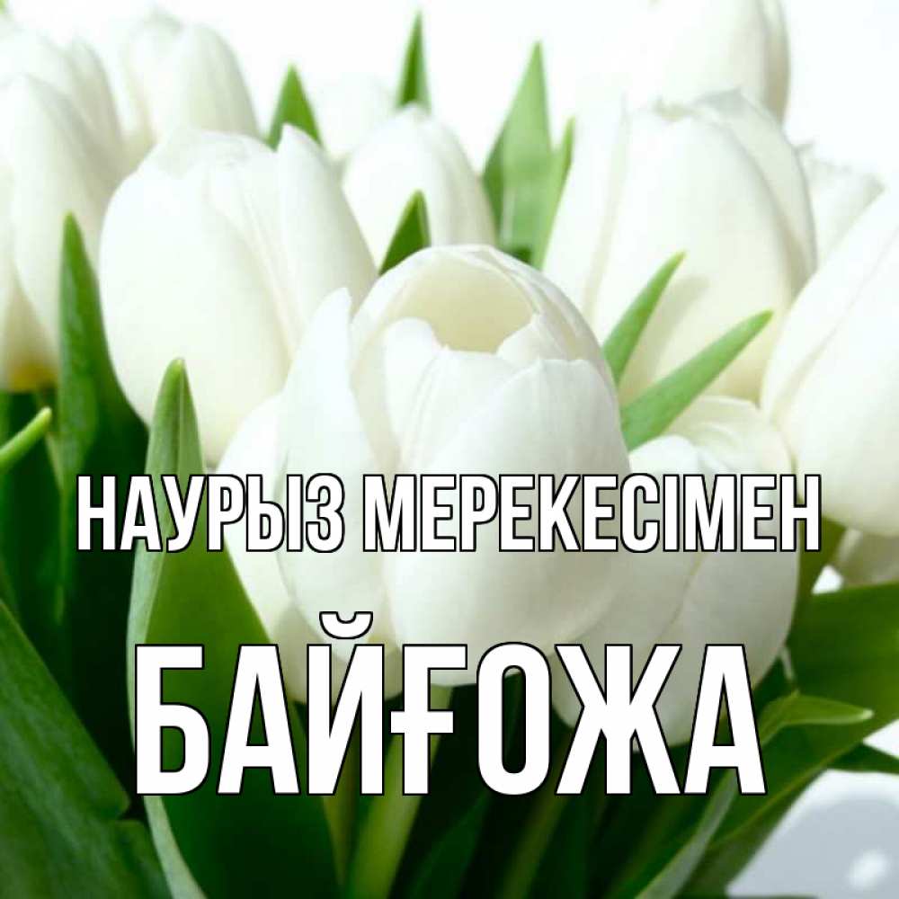 Күн сайын ашық хат с именем, Байғожа Наурыз мерекесімен цветы Онлайн тегін жүктеп алу тілектері бар керемет карта 
