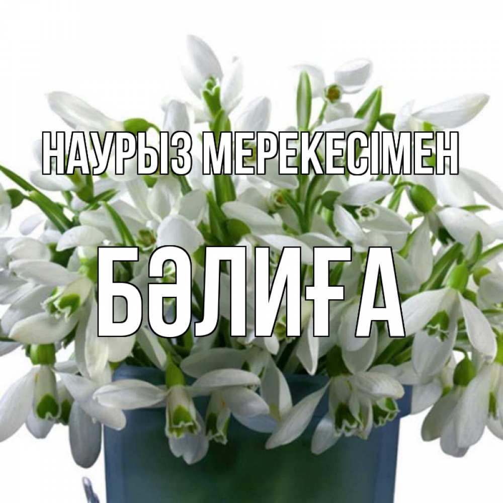 Күн сайын ашық хат с именем, БӘЛИҒА Наурыз мерекесімен цветы к наурызу новый год в Казахстане Онлайн тегін жүктеп алу тілектері бар керемет карта 