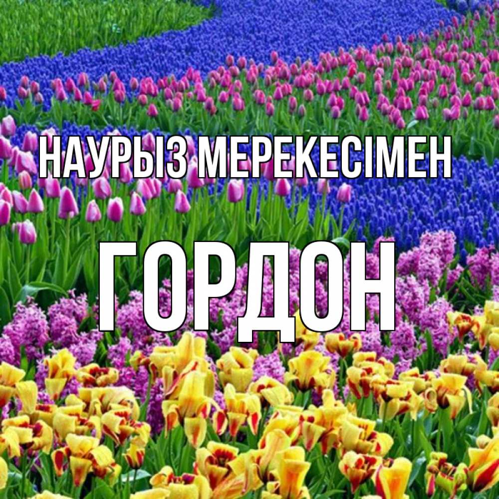 Күн сайын ашық хат с именем, Гордон Наурыз мерекесімен цветы Онлайн тегін жүктеп алу тілектері бар керемет карта 