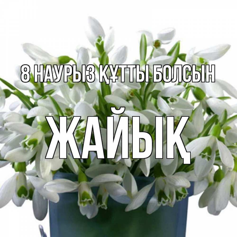 Күн сайын ашық хат с именем, Жайық 8 наурыз құтты болсын цветы к международному женскому дню Онлайн тегін жүктеп алу тілектері бар керемет карта 