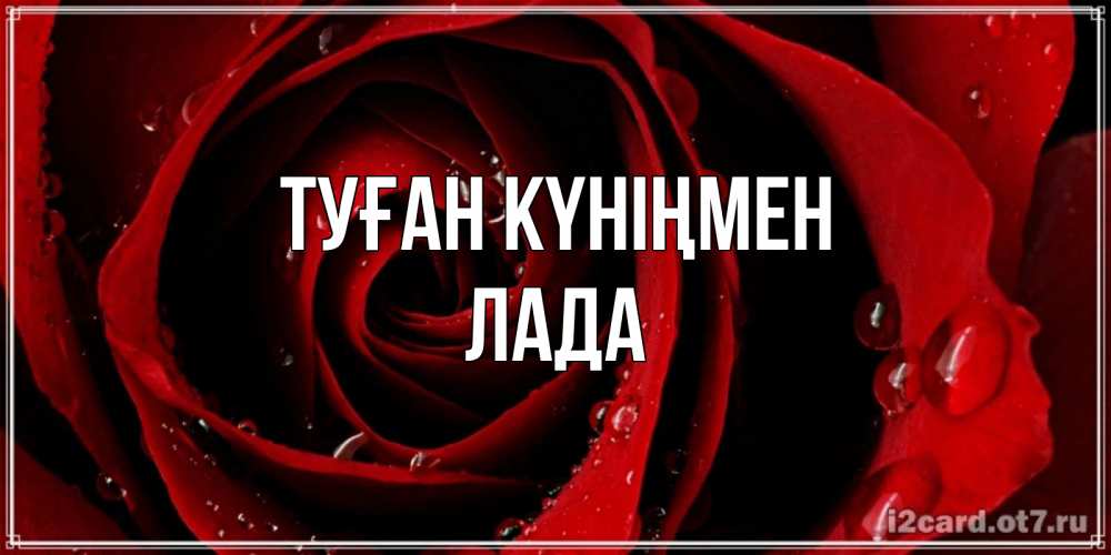 Күн сайын ашық хат с именем, Лада Туған күніңмен крупная бордовая роза Онлайн тегін жүктеп алу тілектері бар керемет карта 