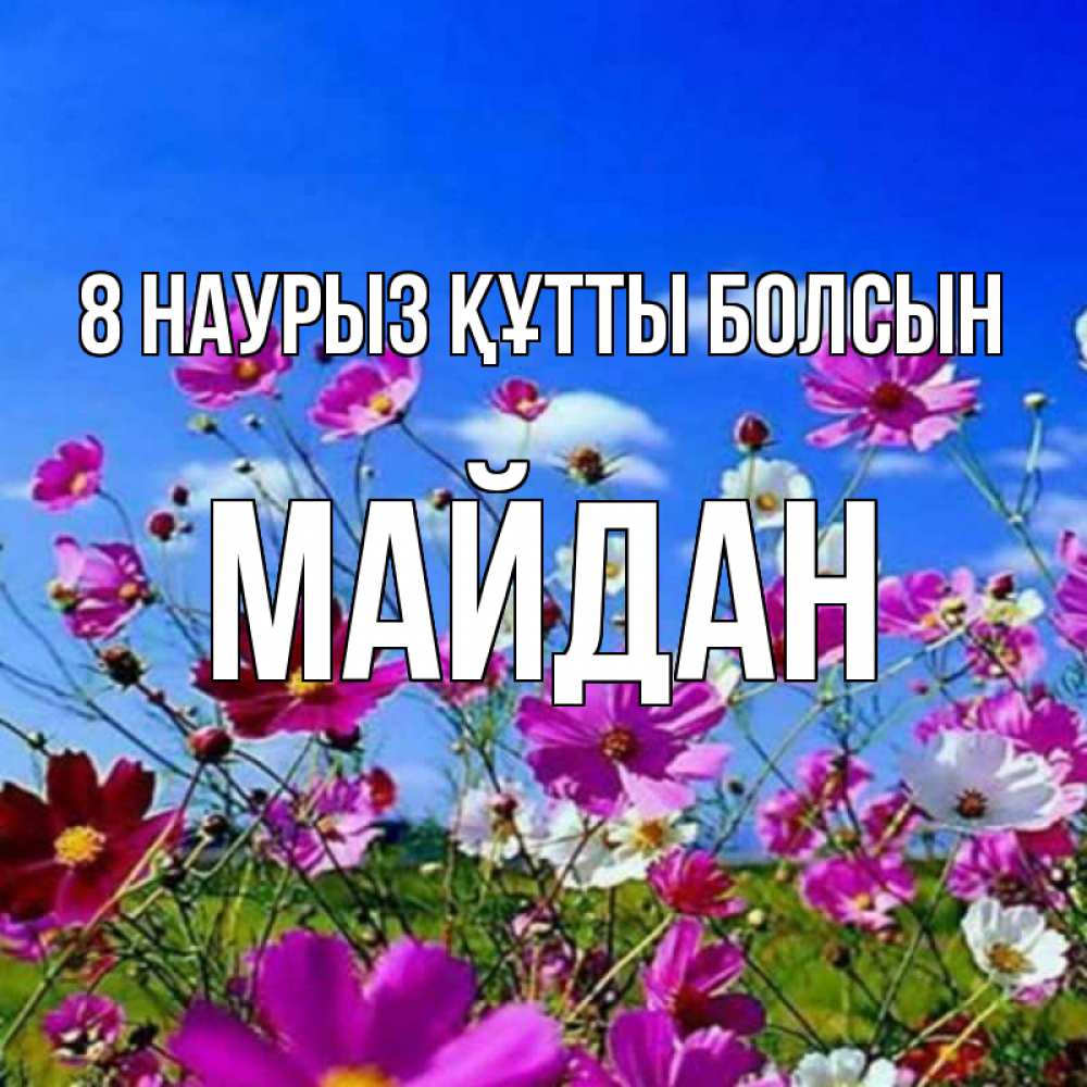 Күн сайын ашық хат с именем, МАЙДАН 8 наурыз құтты болсын цветы Онлайн тегін жүктеп алу тілектері бар керемет карта 