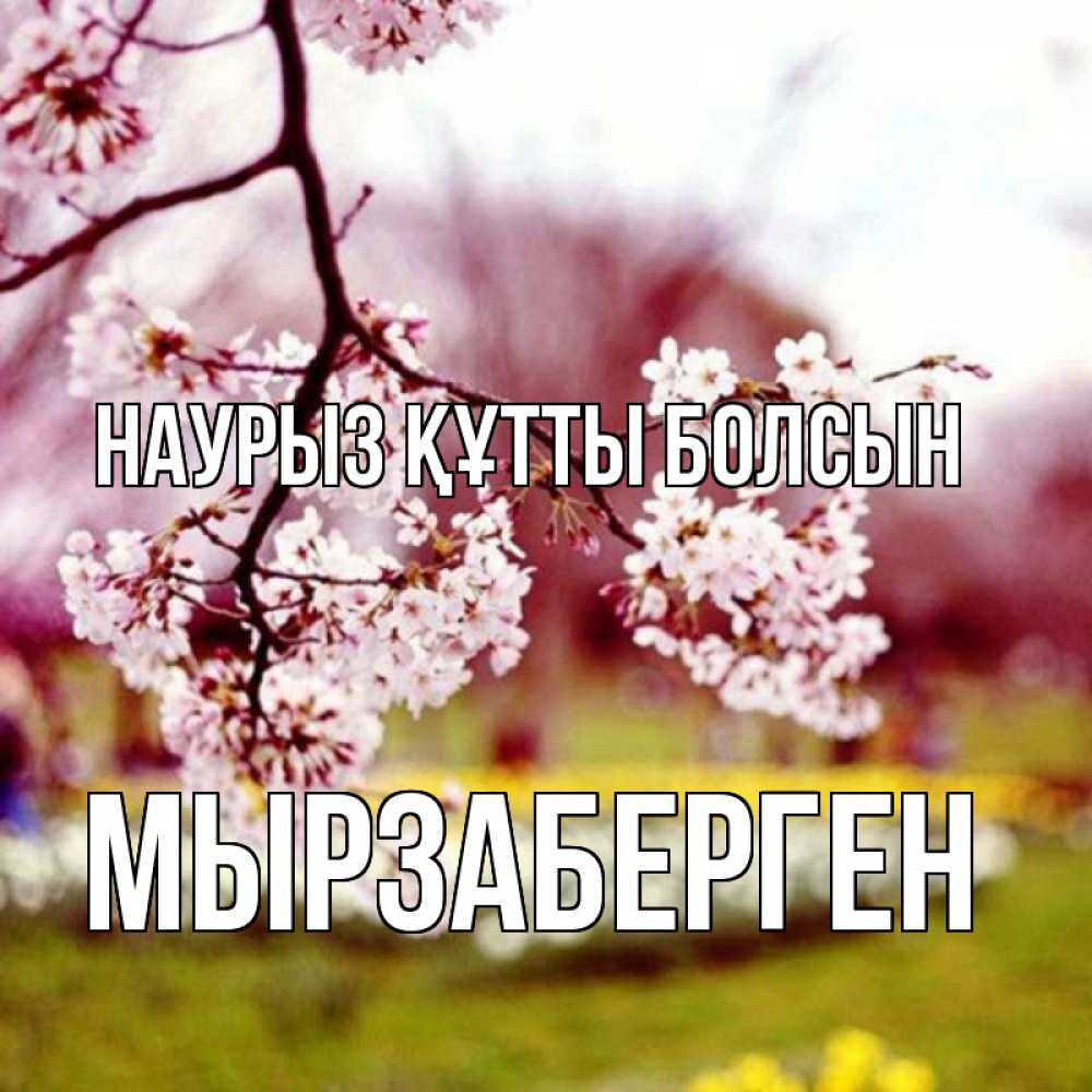 Күн сайын ашық хат с именем, Мырзаберген Наурыз құтты болсын яблоня Онлайн тегін жүктеп алу тілектері бар керемет карта 
