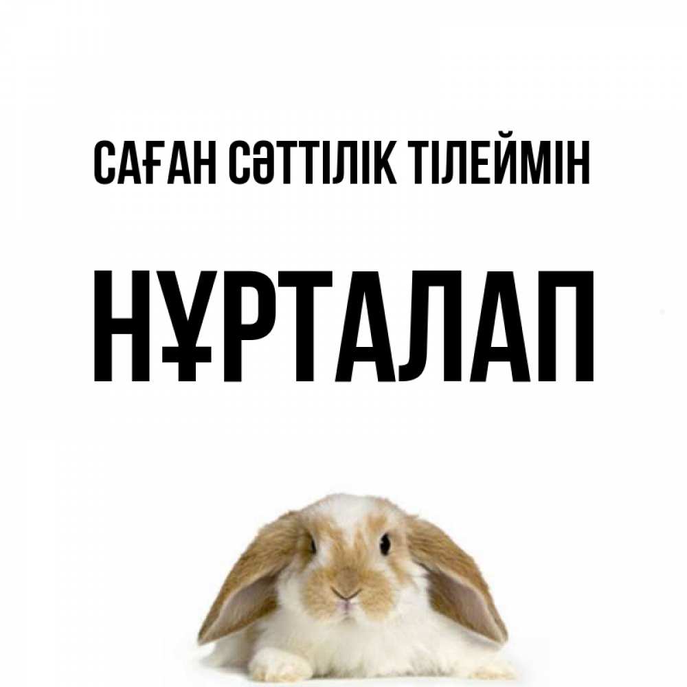 Күн сайын ашық хат с именем, НҰРТАЛАП Саған сәттілік тілеймін открытки с произвольным текстом который можно вставить в открытку и создать ее самостоятельно бесплатно онлайн Онлайн тегін жүктеп алу тілектері бар керемет карта 
