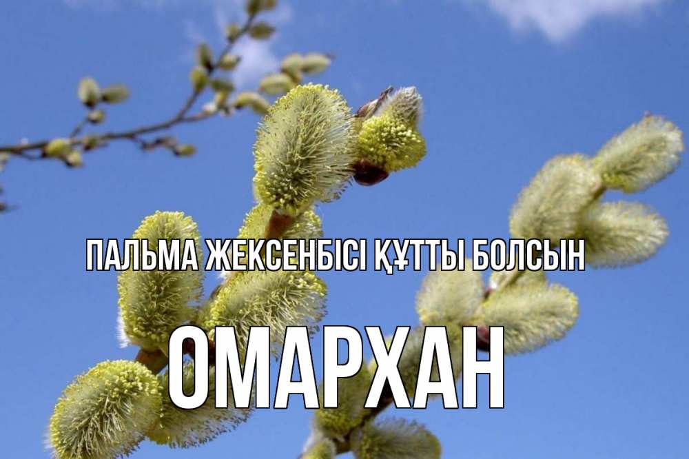 Күн сайын ашық хат с именем, ОМАРХАН Пальма жексенбісі құтты болсын верба Онлайн тегін жүктеп алу тілектері бар керемет карта 