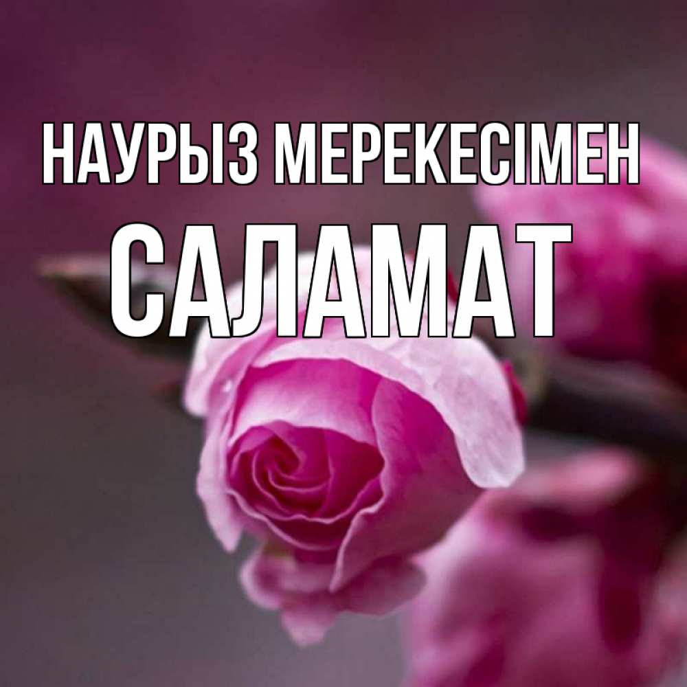 Күн сайын ашық хат с именем, САЛАМАТ Наурыз мерекесімен весна Онлайн тегін жүктеп алу тілектері бар керемет карта 