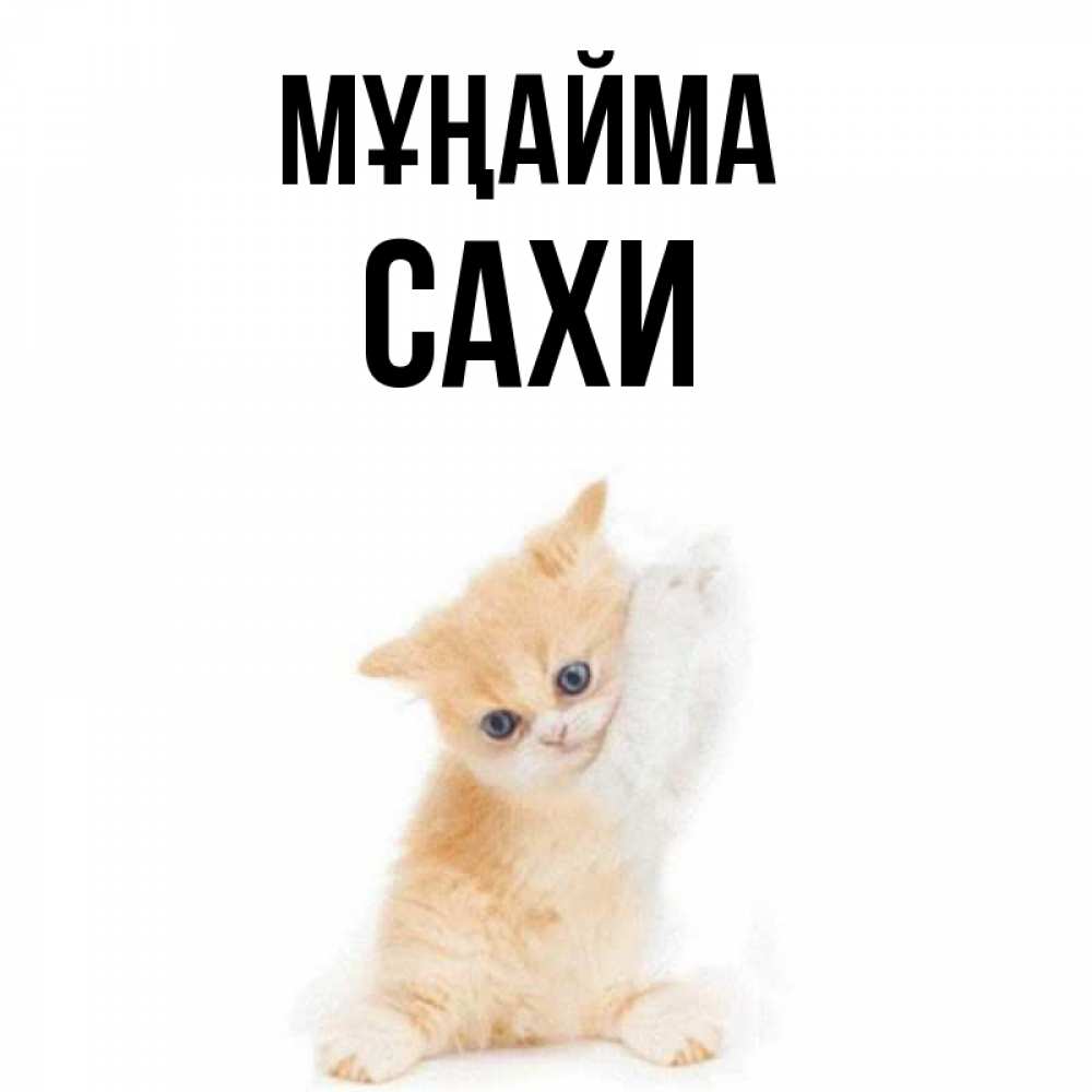 Күн сайын ашық хат с именем, САХИ Мұңайма просящий кот Онлайн тегін жүктеп алу тілектері бар керемет карта 