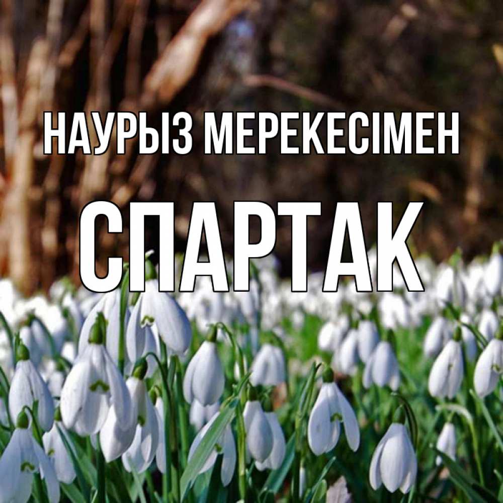 Күн сайын ашық хат с именем, Спартак Наурыз мерекесімен с подснежниками 1 Онлайн тегін жүктеп алу тілектері бар керемет карта 