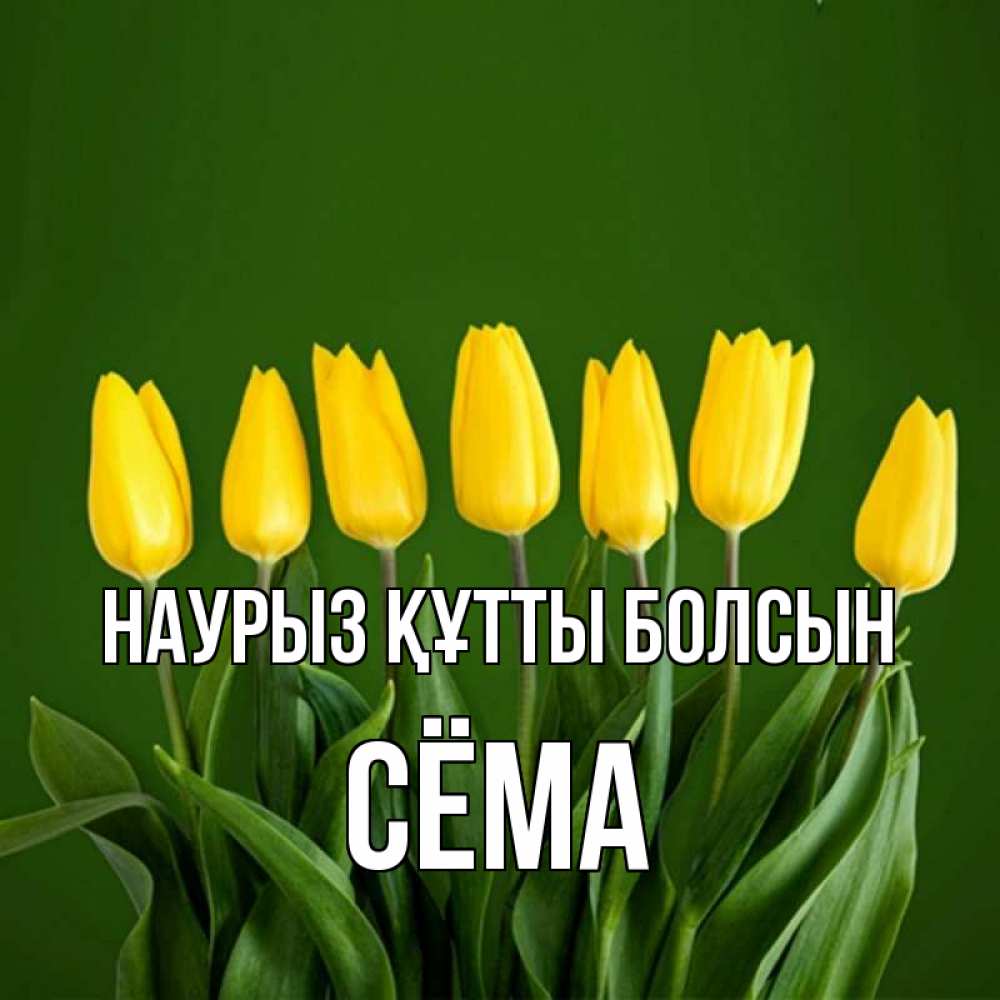 Күн сайын ашық хат с именем, Сёма Наурыз құтты болсын желтого цвета 3 Онлайн тегін жүктеп алу тілектері бар керемет карта 