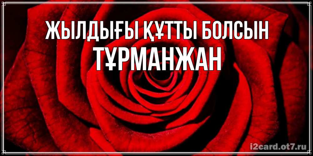 Күн сайын ашық хат с именем, ТҰРМАНЖАН Жылдығы құтты болсын алая роза Онлайн тегін жүктеп алу тілектері бар керемет карта 