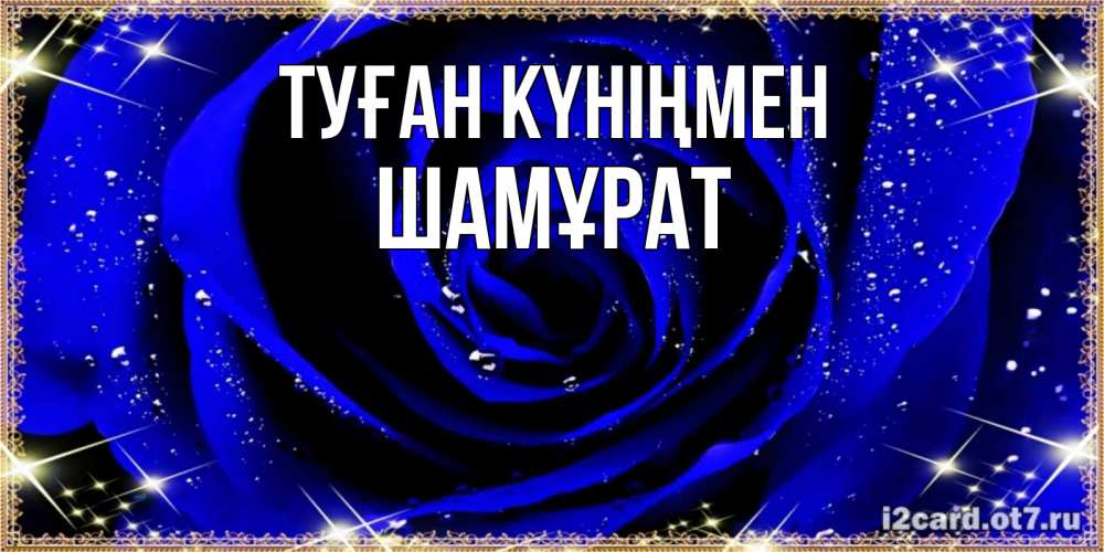 Күн сайын ашық хат с именем, ШАМҰРАТ Туған күніңмен голубые цветы в росе Онлайн тегін жүктеп алу тілектері бар керемет карта 
