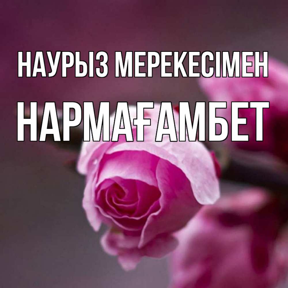Күн сайын ашық хат с именем, НАРМАҒАМБЕТ Наурыз мерекесімен весна Онлайн тегін жүктеп алу тілектері бар керемет карта 