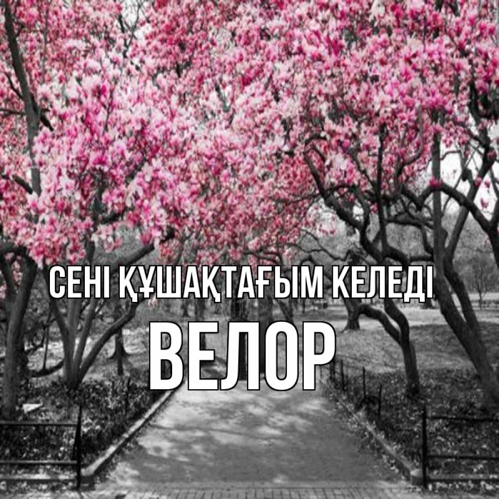 Күн сайын ашық хат с именем, Велор сені құшақтағым келеді обработанное фото Онлайн тегін жүктеп алу тілектері бар керемет карта 