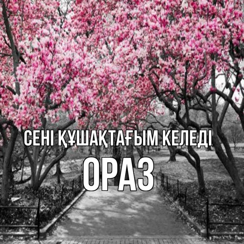 Күн сайын ашық хат с именем, ОРАЗ сені құшақтағым келеді обработанное фото Онлайн тегін жүктеп алу тілектері бар керемет карта 
