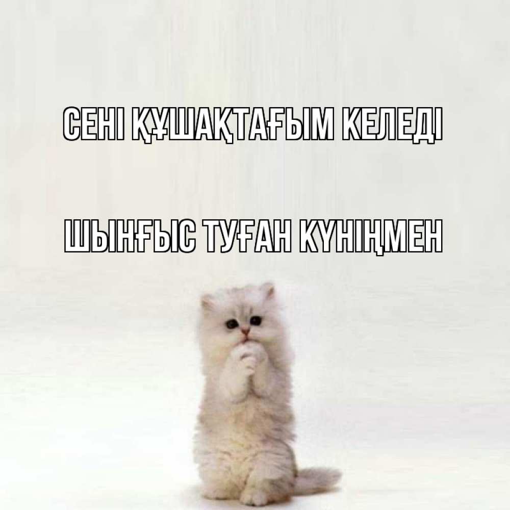 Картинка сені құшақтағым келеді, ШЫНҒЫС! ТУҒАН КҮНІҢМЕН!