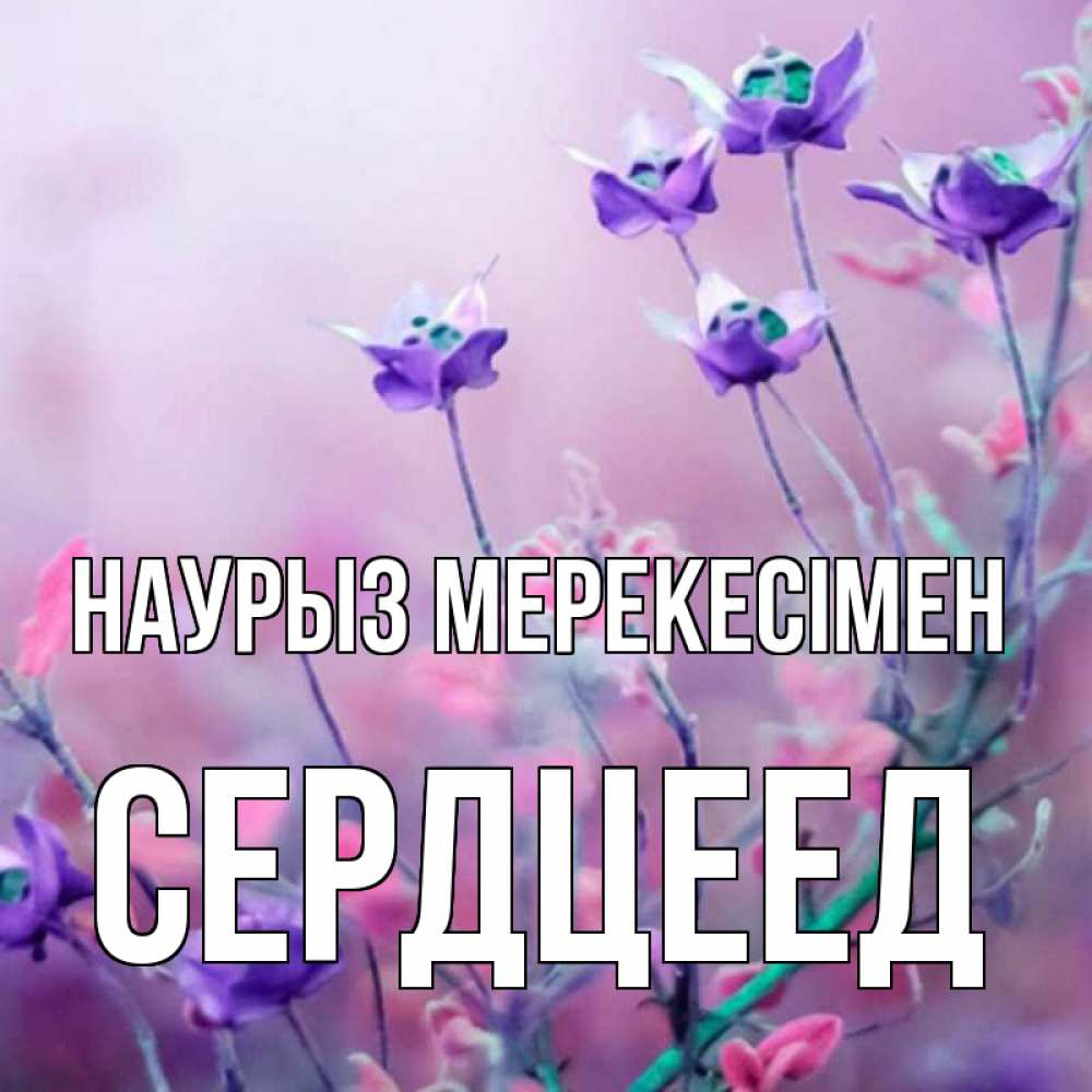 Күн сайын ашық хат с именем, Сердцеед Наурыз мерекесімен международный женский день 2 Онлайн тегін жүктеп алу тілектері бар керемет карта 