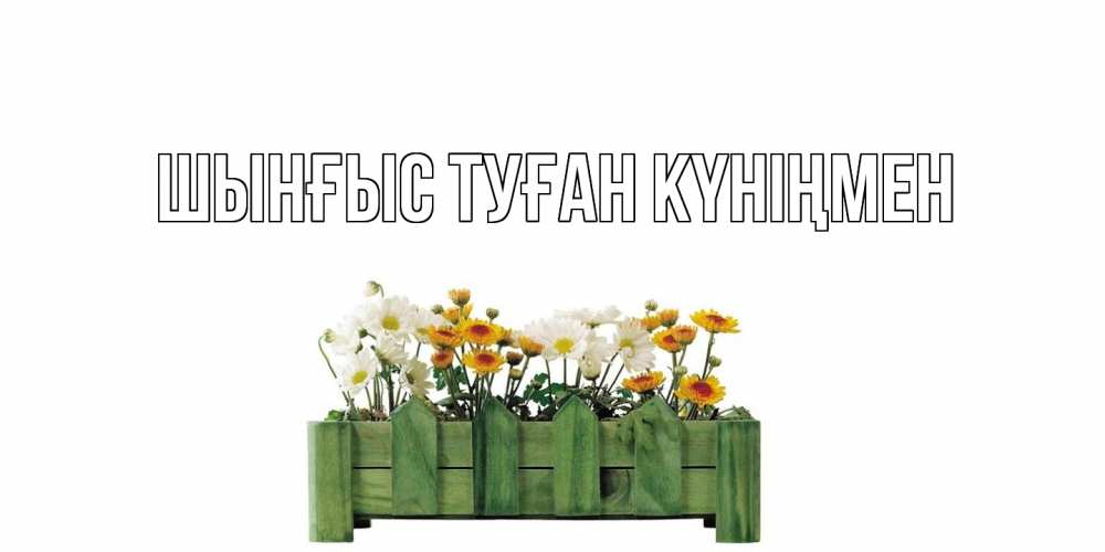 Картинка  с именем , ШЫНҒЫС! ТУҒАН КҮНІҢМЕН!