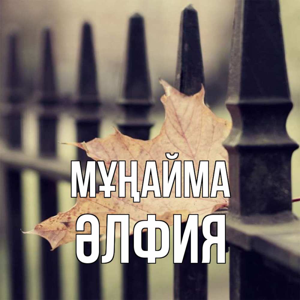 Күн сайын ашық хат с именем, ӘЛФИЯ Мұңайма лист клена Онлайн тегін жүктеп алу тілектері бар керемет карта 
