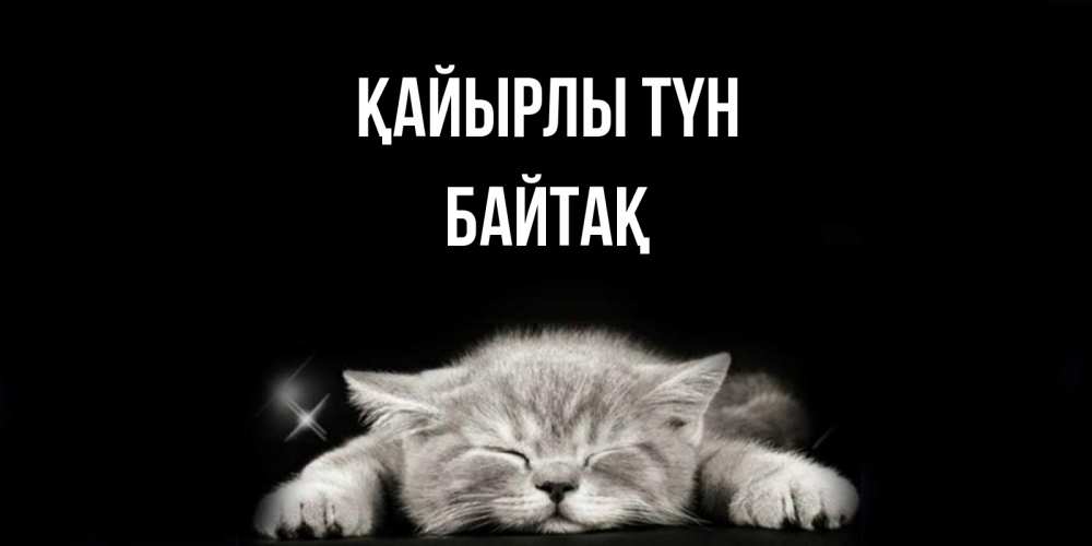 Күн сайын ашық хат с именем, Байтақ Қайырлы түн спящий котик Онлайн тегін жүктеп алу тілектері бар керемет карта 