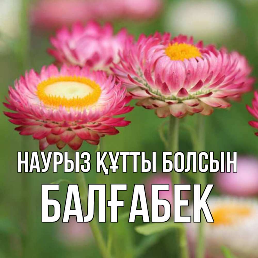 Күн сайын ашық хат с именем, Балғабек Наурыз құтты болсын подарок на международный женский день Онлайн тегін жүктеп алу тілектері бар керемет карта 