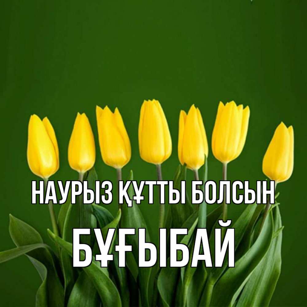 Күн сайын ашық хат с именем, Бұғыбай Наурыз құтты болсын желтого цвета 3 Онлайн тегін жүктеп алу тілектері бар керемет карта 