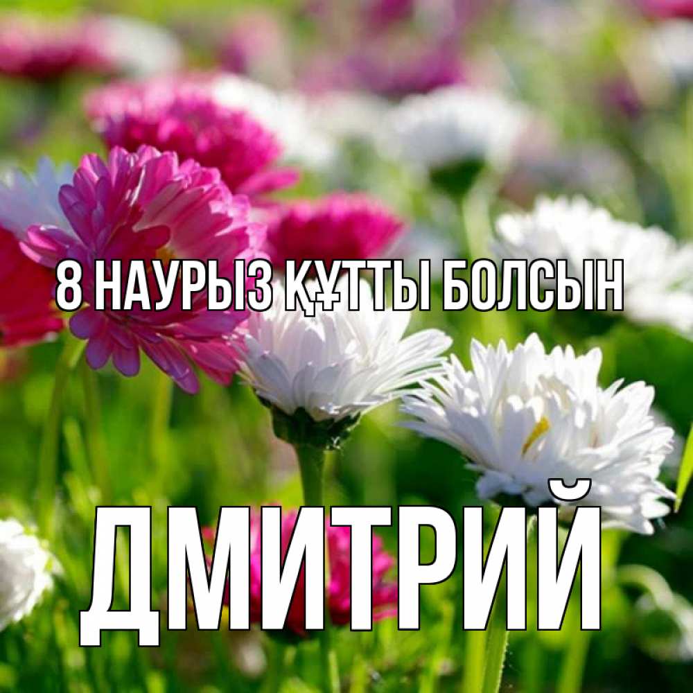 Күн сайын ашық хат с именем, Дмитрий 8 наурыз құтты болсын международный женский день 1 Онлайн тегін жүктеп алу тілектері бар керемет карта 