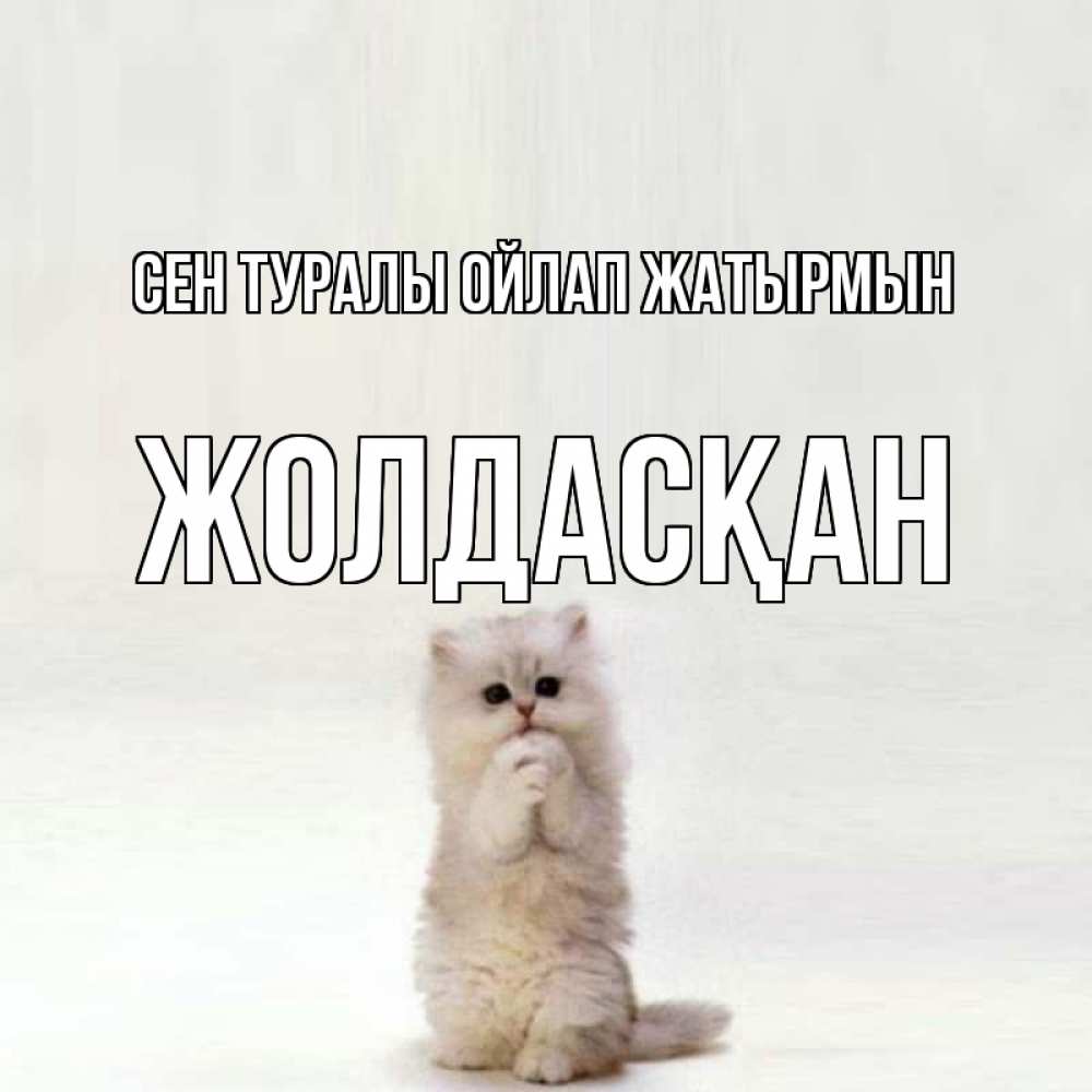 Күн сайын ашық хат с именем, Жолдасқан Сен туралы ойлап жатырмын кот стоит на задних лапах Онлайн тегін жүктеп алу тілектері бар керемет карта 