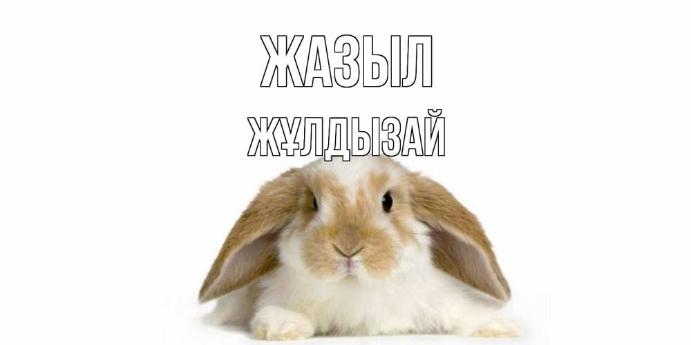 Күн сайын ашық хат с именем, ЖҰЛДЫЗАЙ Жазыл вислоухий кролик белого и коричневого цвета Онлайн тегін жүктеп алу тілектері бар керемет карта 