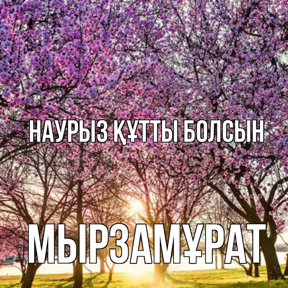 Күн сайын ашық хат с именем, Мырзамұрат Наурыз құтты болсын наурыз Онлайн тегін жүктеп алу тілектері бар керемет карта 