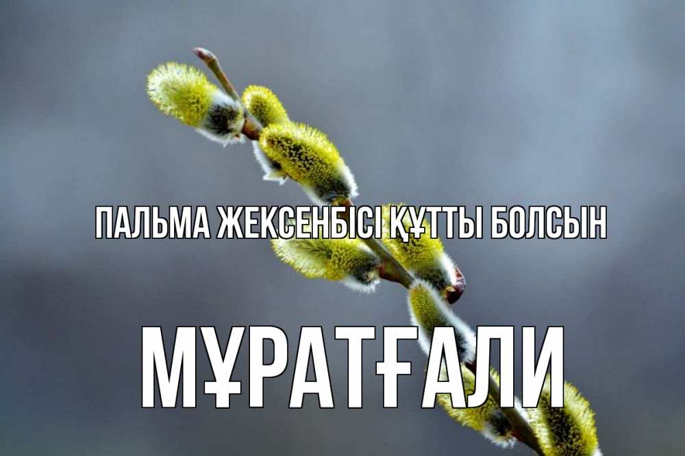 Күн сайын ашық хат с именем, Мұратғали Пальма жексенбісі құтты болсын верба Онлайн тегін жүктеп алу тілектері бар керемет карта 