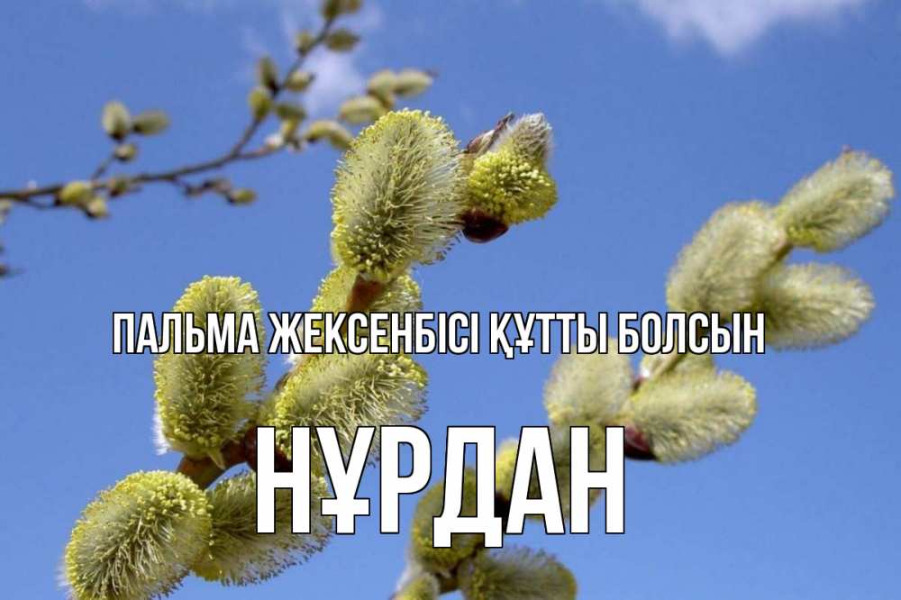 Күн сайын ашық хат с именем, НҰРДАН Пальма жексенбісі құтты болсын верба Онлайн тегін жүктеп алу тілектері бар керемет карта 
