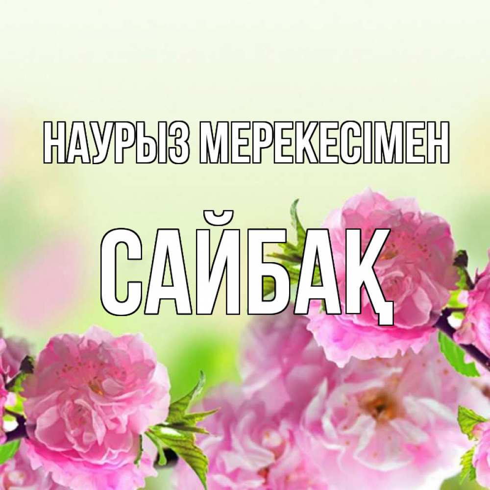 Күн сайын ашық хат с именем, САЙБАҚ Наурыз мерекесімен цветы Онлайн тегін жүктеп алу тілектері бар керемет карта 