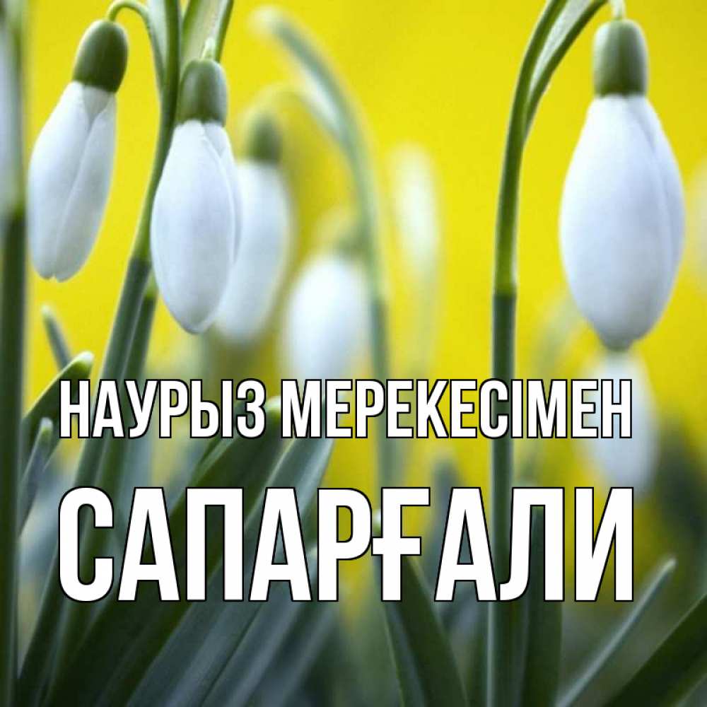 Күн сайын ашық хат с именем, САПАРҒАЛИ Наурыз мерекесімен весенние цветы Онлайн тегін жүктеп алу тілектері бар керемет карта 