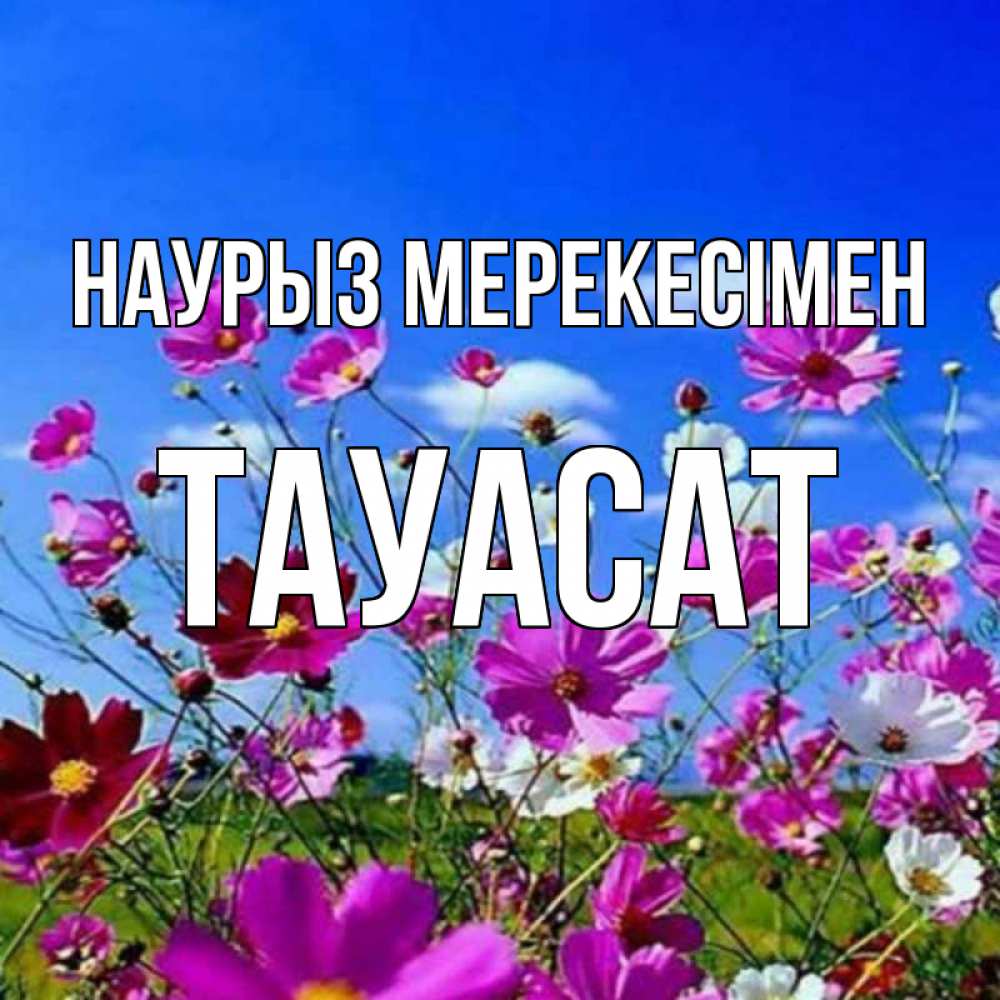 Күн сайын ашық хат с именем, ТАУАСАТ Наурыз мерекесімен цветы Онлайн тегін жүктеп алу тілектері бар керемет карта 