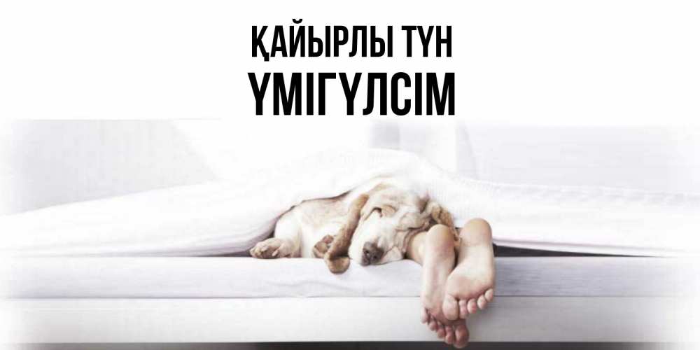 Күн сайын ашық хат с именем, ҮМІГҮЛСІМ Қайырлы түн кровать с собакой пожелание сладких снов и спокойной ночи Онлайн тегін жүктеп алу тілектері бар керемет карта 