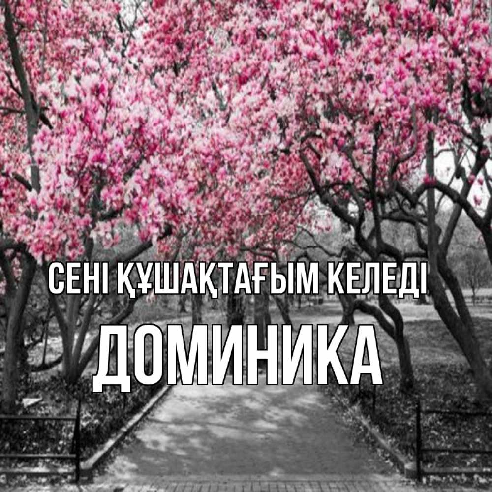Күн сайын ашық хат с именем, Доминика сені құшақтағым келеді обработанное фото Онлайн тегін жүктеп алу тілектері бар керемет карта 