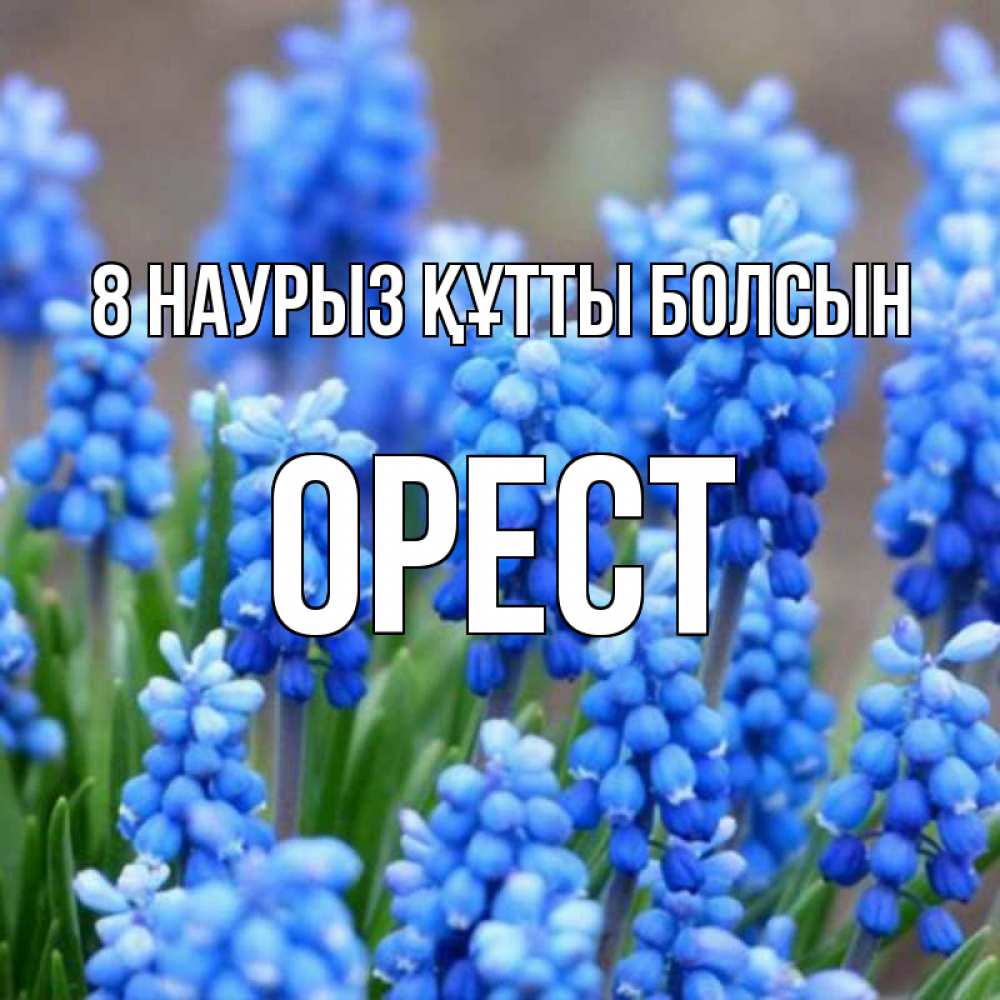 Күн сайын ашық хат с именем, Орест 8 наурыз құтты болсын Поздравительная открытка для женщин с цветами на праздничную дату Онлайн тегін жүктеп алу тілектері бар керемет карта 