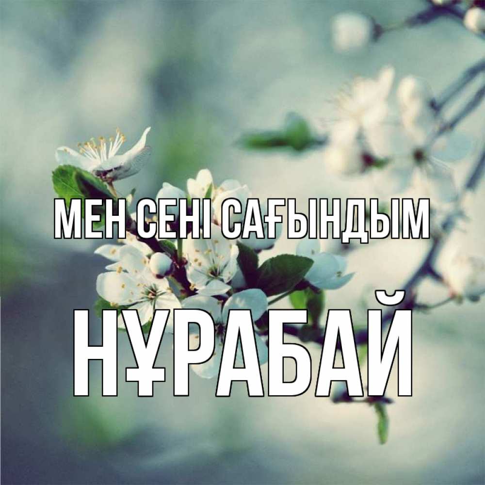 Күн сайын ашық хат с именем, НҰРАБАЙ Мен сені сағындым весна Онлайн тегін жүктеп алу тілектері бар керемет карта 