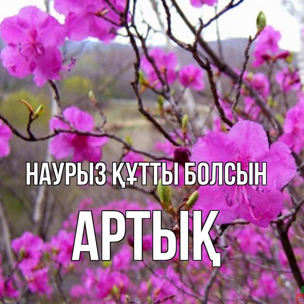 Күн сайын ашық хат с именем, Артық Наурыз құтты болсын наурыз мейрамы кутты болсын Онлайн тегін жүктеп алу тілектері бар керемет карта 