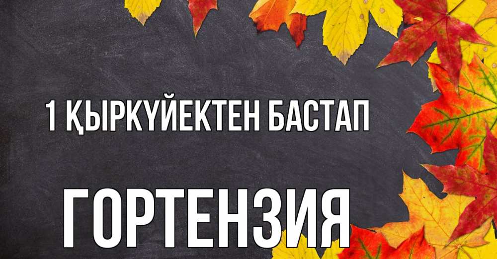 Күн сайын ашық хат с именем, Гортензия 1 қыркүйектен бастап с днем знаний Онлайн тегін жүктеп алу тілектері бар керемет карта 