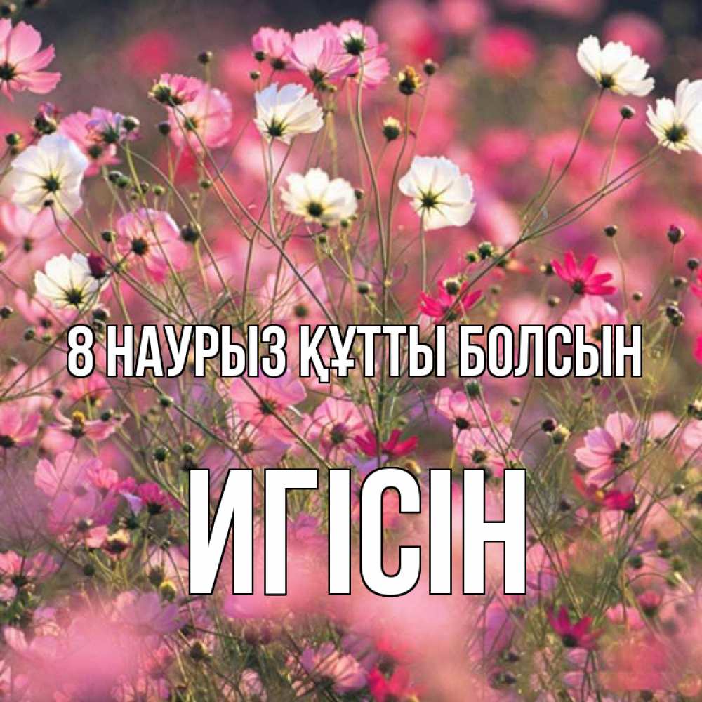Күн сайын ашық хат с именем, Игісін 8 наурыз құтты болсын красиво 1 Онлайн тегін жүктеп алу тілектері бар керемет карта 