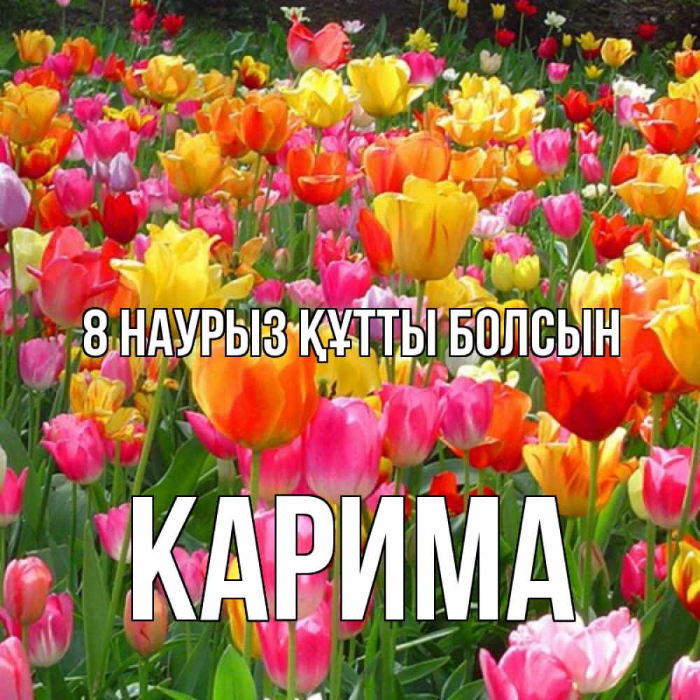 Күн сайын ашық хат с именем, Карима 8 наурыз құтты болсын на международный женский день Онлайн тегін жүктеп алу тілектері бар керемет карта 